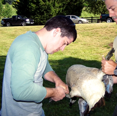Virginia Department of Game and Inland Fisheries Project