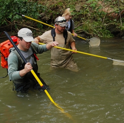 Virginia Department of Game and Inland Fisheries Project